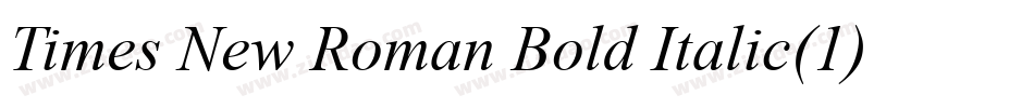 Times New Roman Bold Italic(1)字体转换